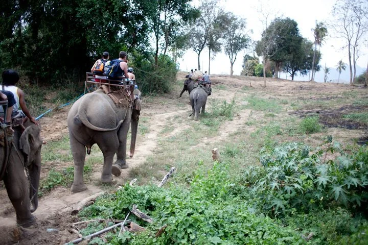 22-15.jpg?resize=720%2C480