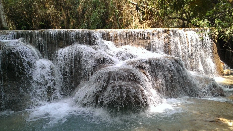 IMAG1438.jpg?type=w1