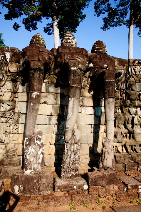 _MG_1326.JPG?type=w1