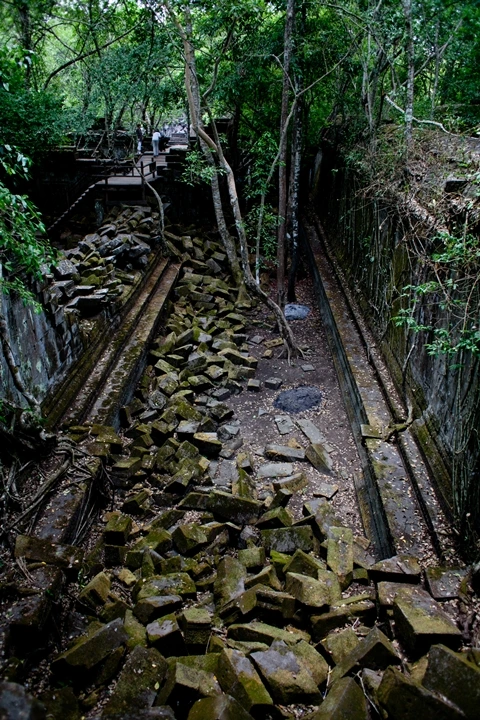 _MG_1088.JPG?type=w1