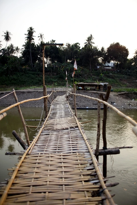 _MG_7919.jpg?type=w1