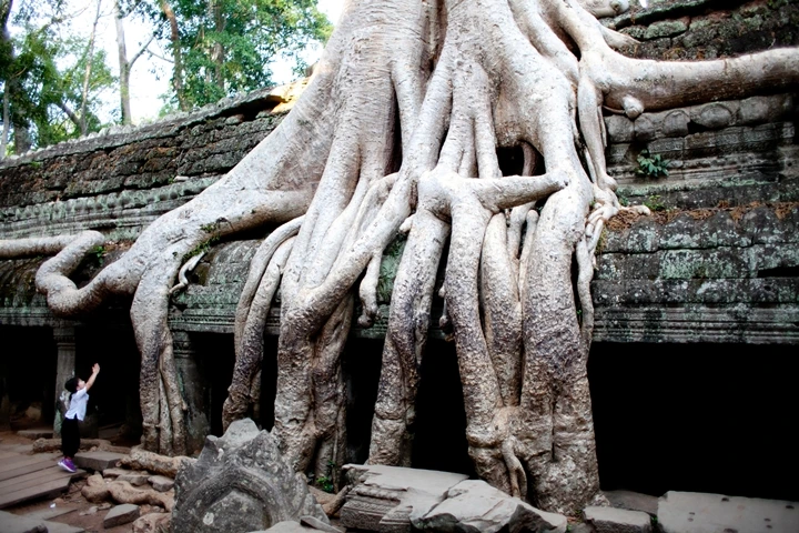 _MG_1219.JPG?type=w1