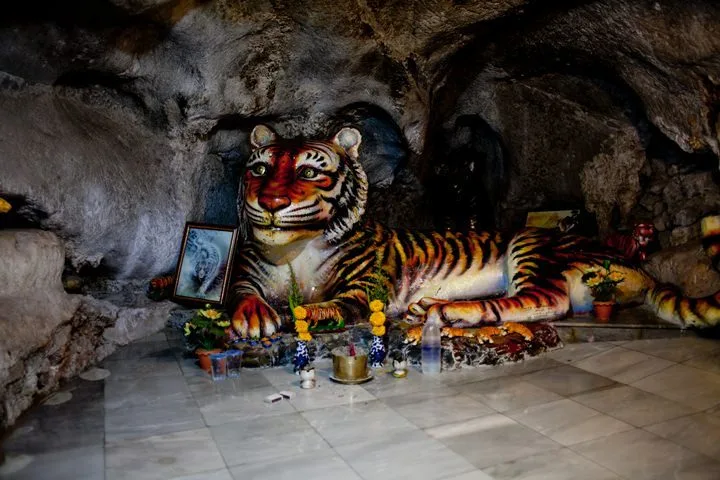 12-14.jpg?resize=720%2C480