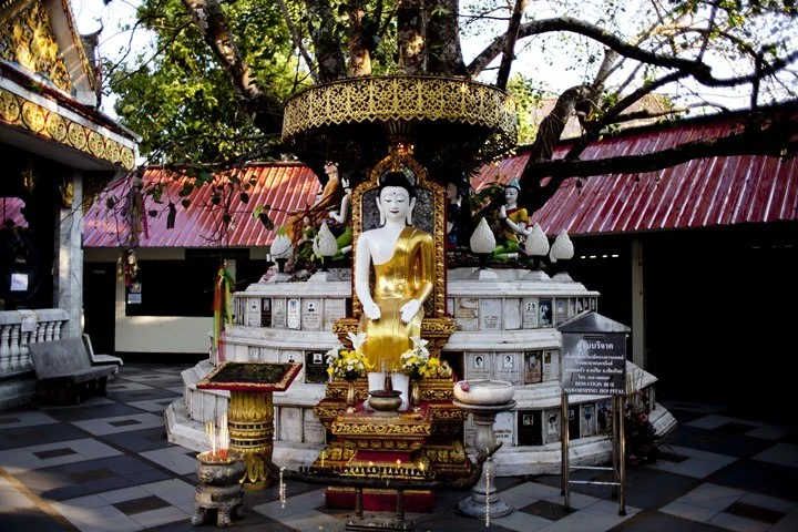 2013-26-06.jpg?resize=720%2C480