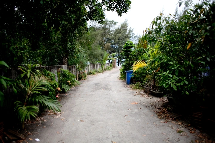 _MG_9256.JPG?type=w1