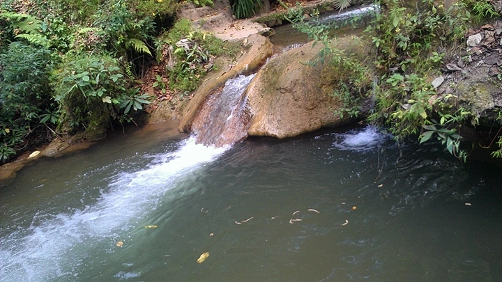 sIMAG1399.jpg?type=w1