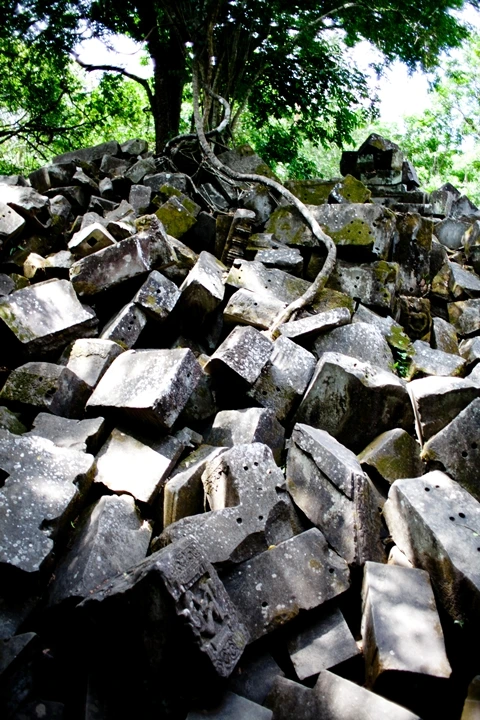 _MG_1032.JPG?type=w1