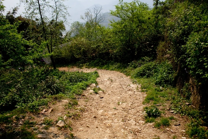 _MG_8843.JPG?type=w1