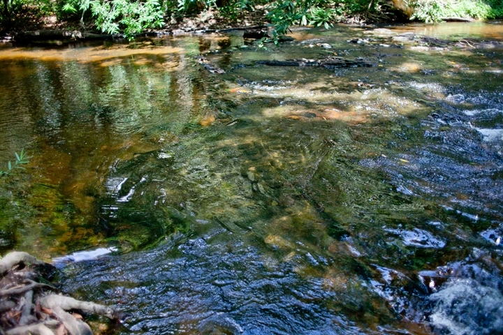 _MG_1649.JPG?type=w1