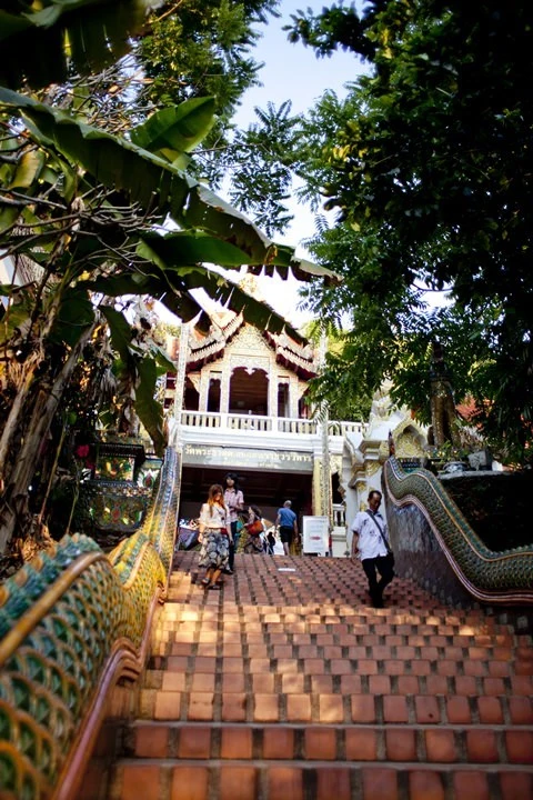 2013-26-10.jpg?resize=480%2C720