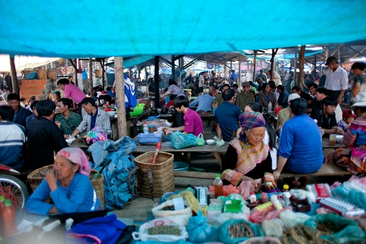 _MG_9019.JPG?type=w1