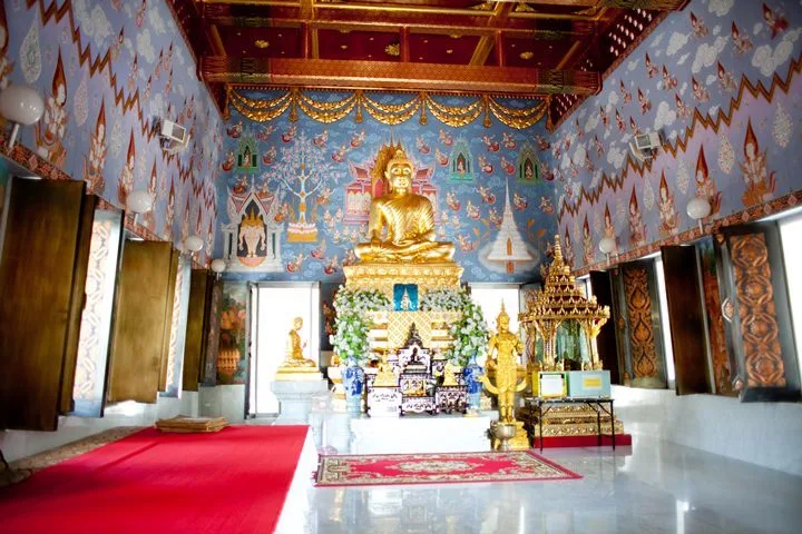 11-06.jpg?resize=720%2C480