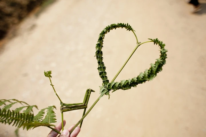 _MG_8857.jpg?type=w1