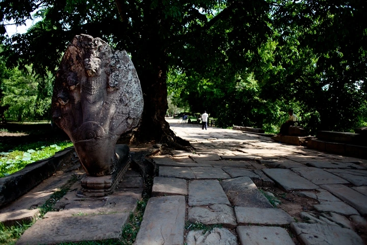 _MG_0970.JPG?type=w1