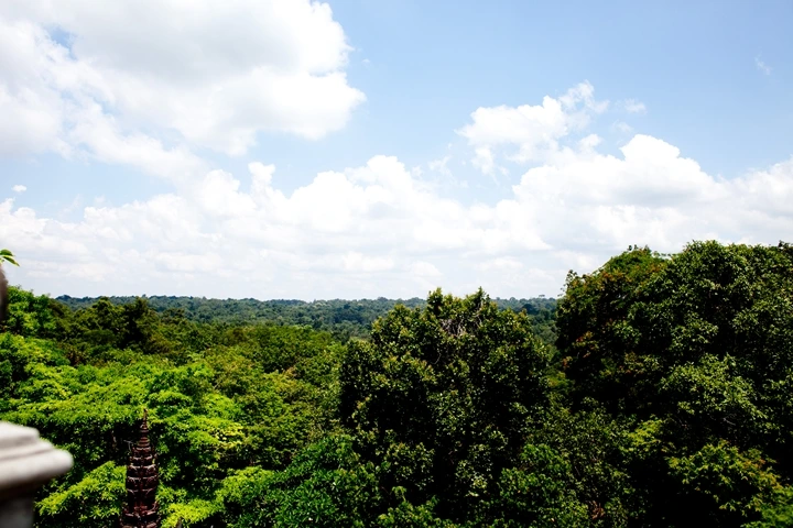 _MG_1683.JPG?type=w1