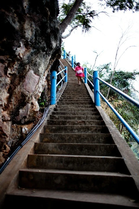 12-16.jpg?resize=480%2C720