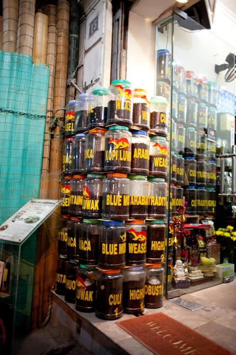 _MG_8718.JPG?type=w1