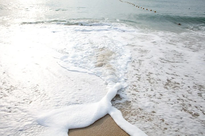 16-03.jpg?resize=720%2C480