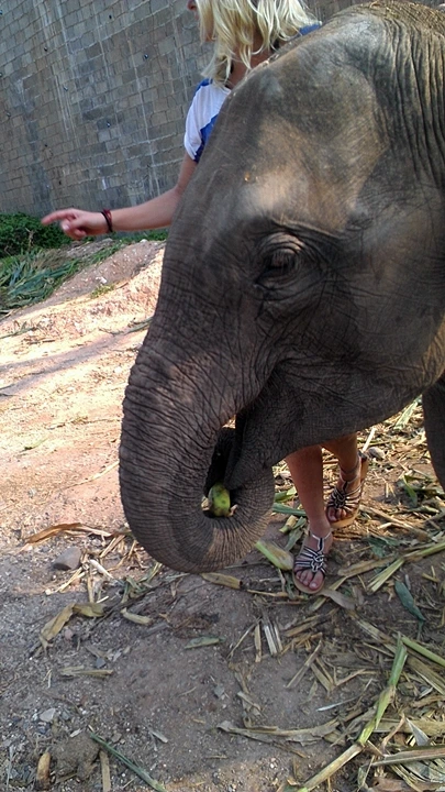 sIMAG1364.jpg?type=w1