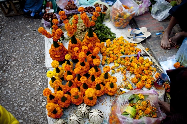 _MG_7485.jpg?type=w1