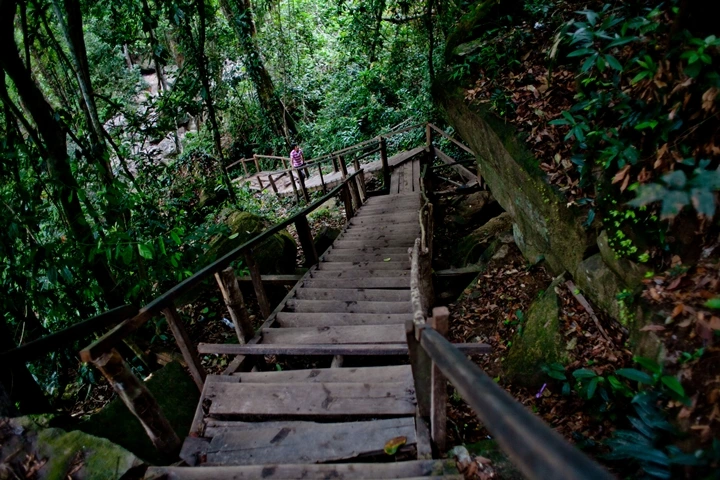 _MG_1739.JPG?type=w1