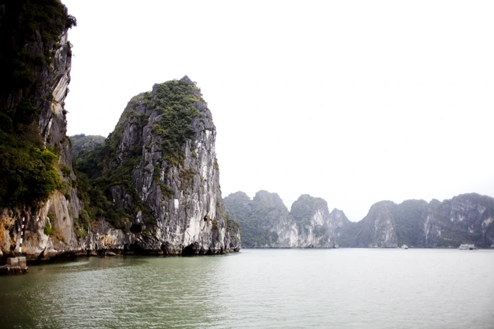 _MG_8610.jpg?type=w1