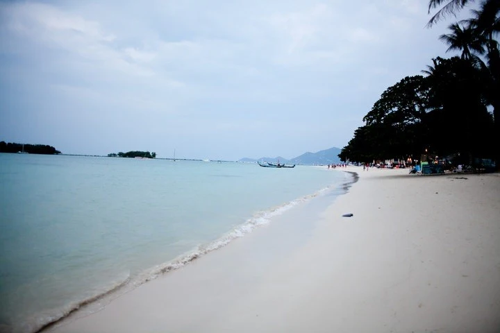 14-10.jpg?resize=720%2C480