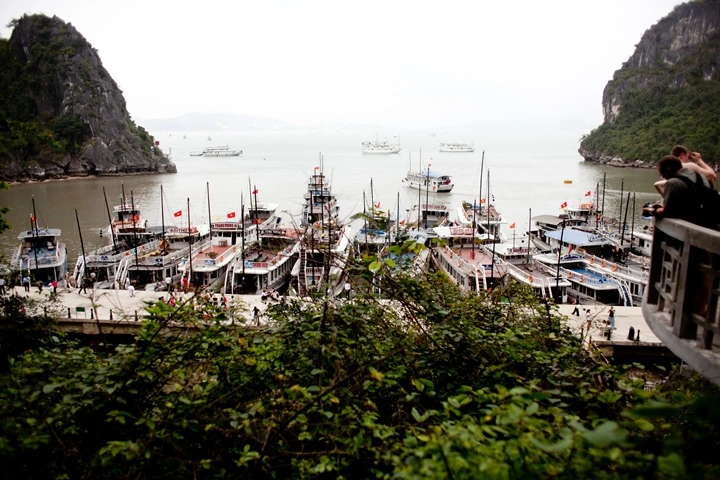 _MG_8595.JPG?type=w1