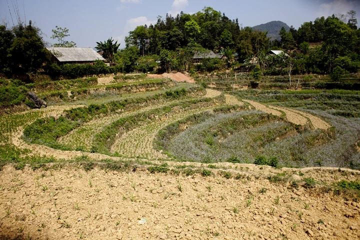 _MG_9065.jpg?type=w1