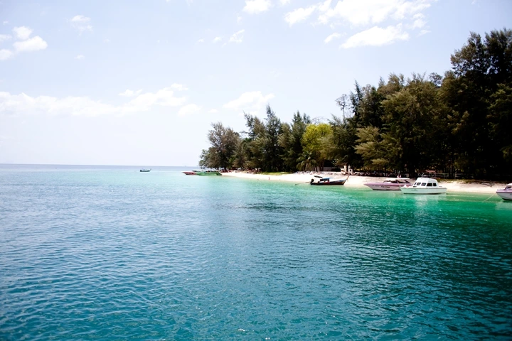 _MG_3403.JPG?type=w1