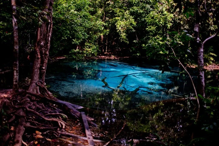 12-04.jpg?resize=720%2C480