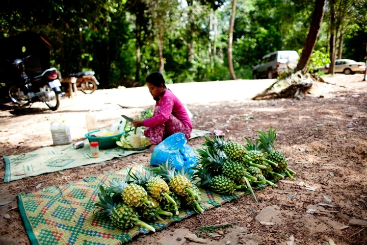 _MG_1822.JPG?type=w1