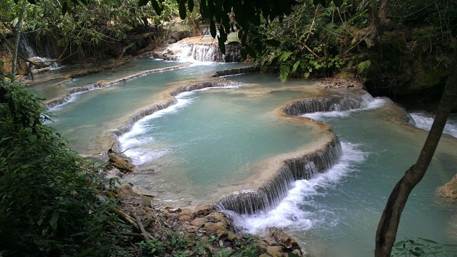 IMAG1437.jpg?type=w1