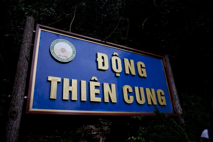 _MG_8586.jpg?type=w1