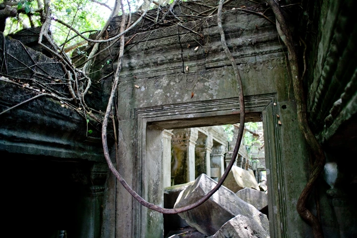 _MG_1009.JPG?type=w1