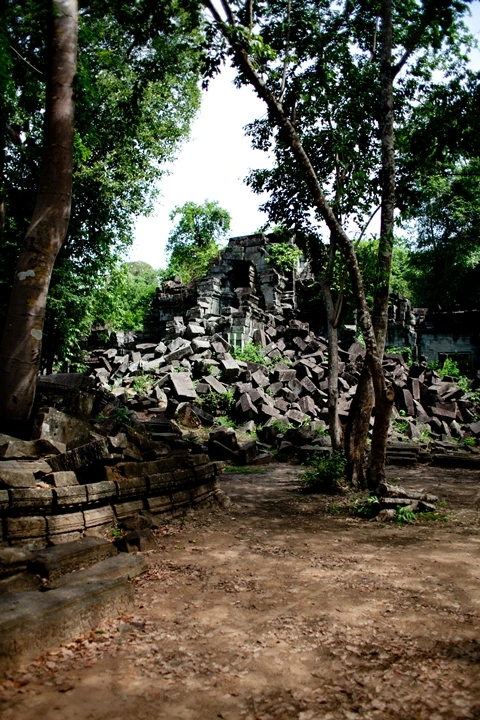 _MG_0988.JPG?type=w1