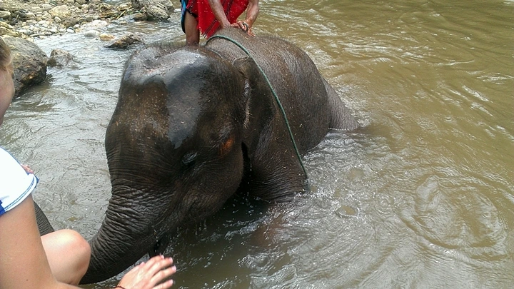 sIMAG1395.jpg?type=w1