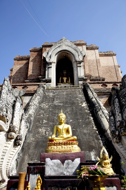 _MG_7135.jpg?type=w1