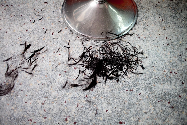 _MG_3008.jpg?type=w1