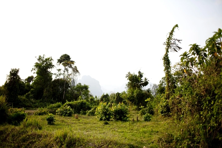 _MG_8160.jpg?type=w1