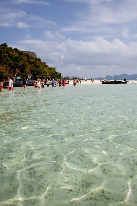 08-2.jpg?resize=480%2C720