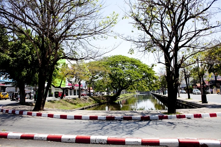 _MG_7201.jpg?type=w1