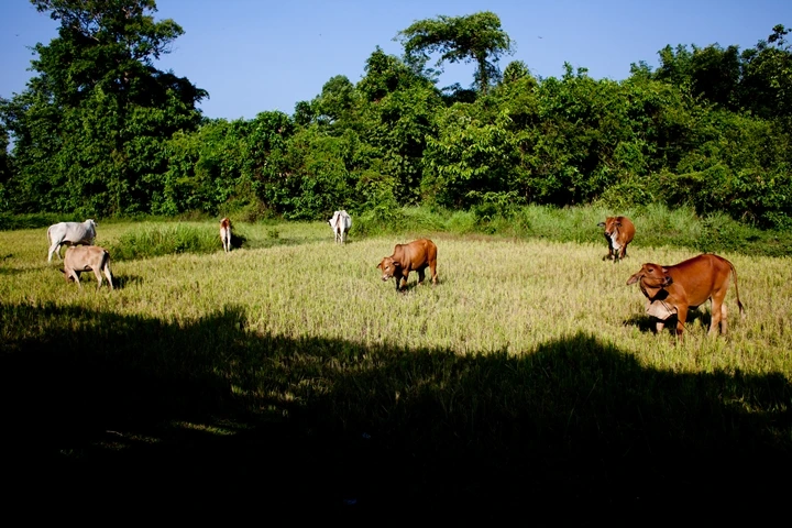 _MG_1502.JPG?type=w1