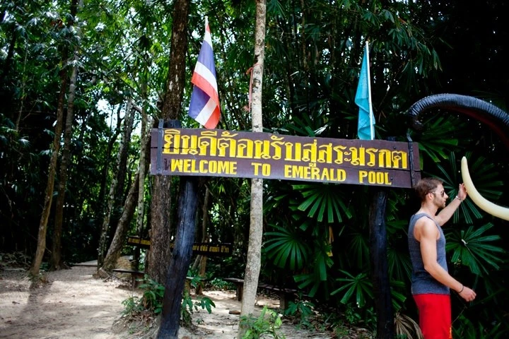 12-01.jpg?resize=720%2C480