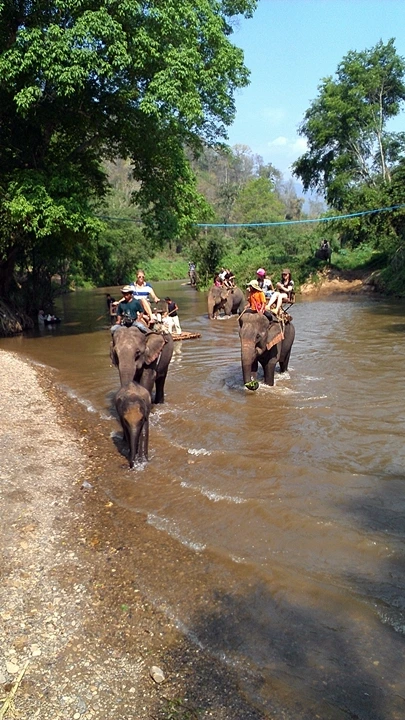 sIMAG1380.jpg?type=w1