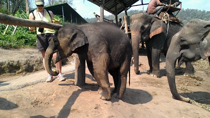 sIMAG1382.jpg?type=w1