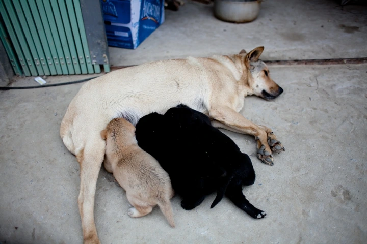 _MG_8901.JPG?type=w1