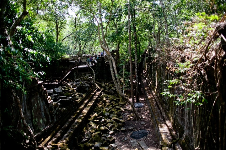 _MG_1019.JPG?type=w1