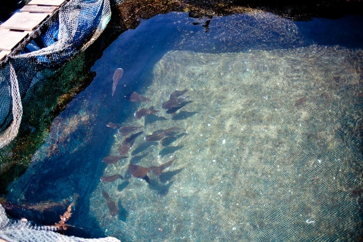 _MG_9493.JPG?type=w1