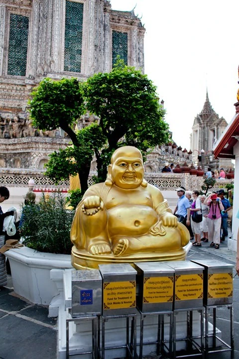 20-17.jpg?resize=480%2C720